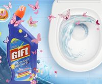 Gift Toiler Cleaner