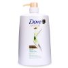 Dove intense repair shampoo 650ml