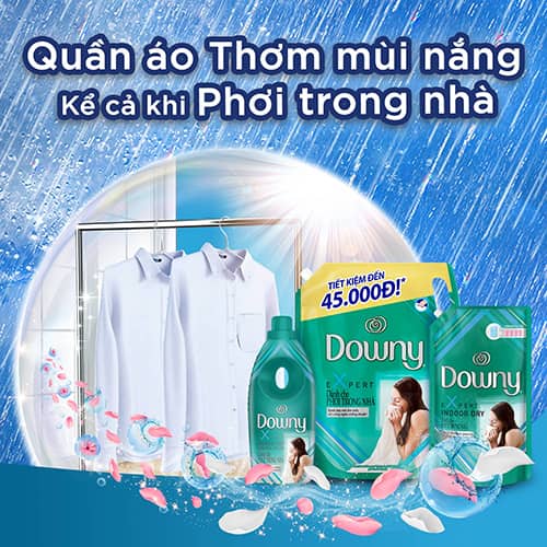 Downy Expert Indoor Vietnam