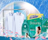 Downy Expert Indoor