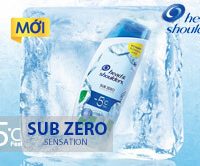 Head And Shoulders Sub Zero