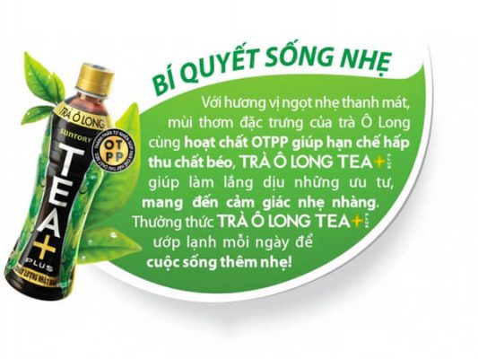 TEA+ (Plus) Oolong 455ml
