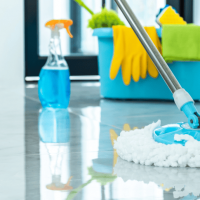 Floor Cleaner