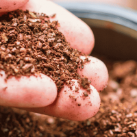 Ground Coffee