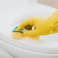 Toilet Cleaner