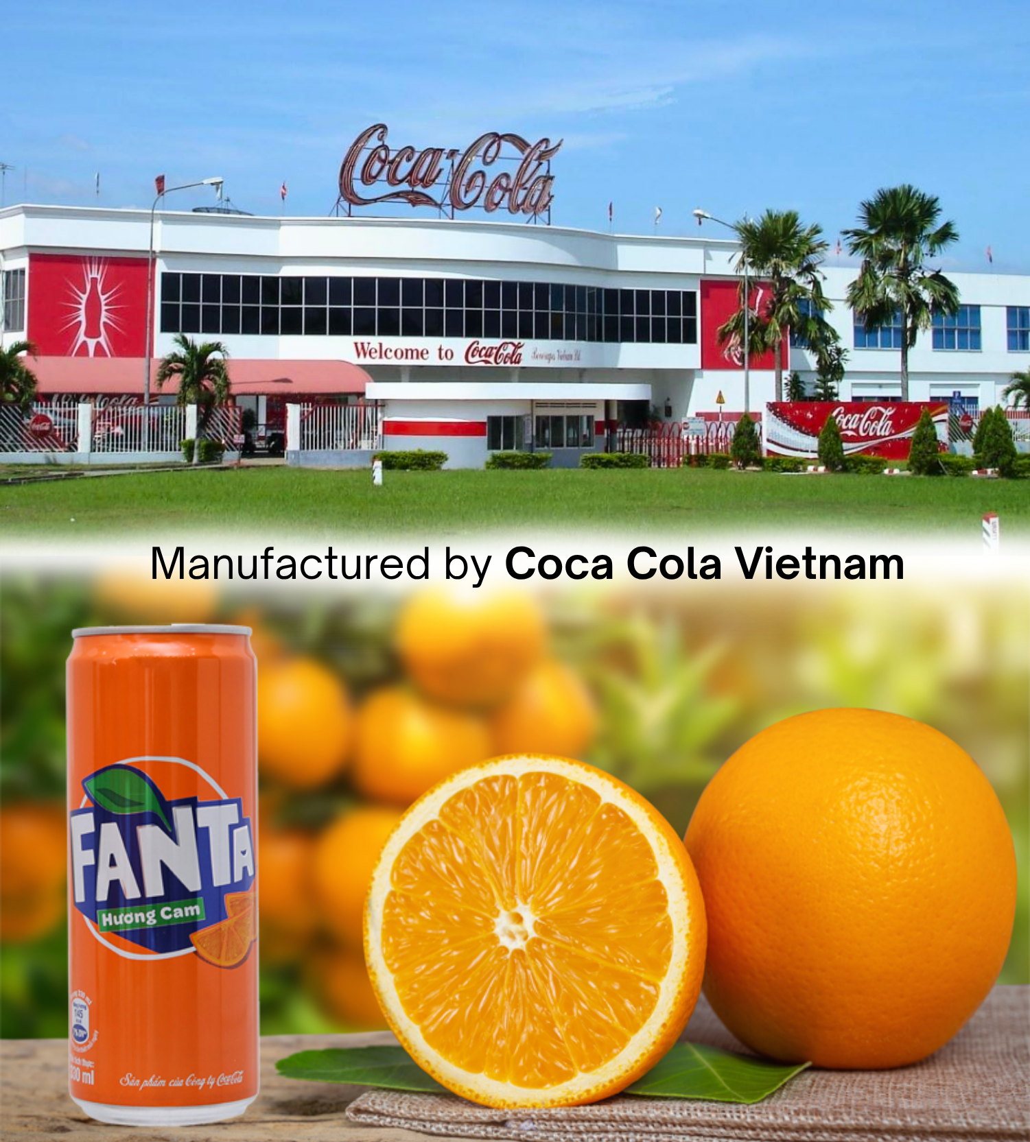 fanta-2