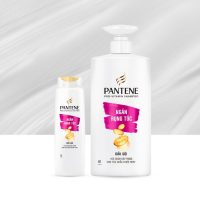Pantene Hair Fall Control