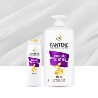 Pantene Total Damage Care