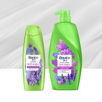 Rejoice Korean Lavender